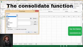 How to use the consolidate function in Excel [upl. by Leifer]