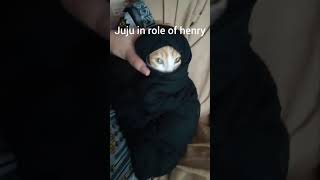 Juju joining the trend kallu kaalia subscribe and comment for juju autograph 🐾 youtubeshorts cat [upl. by Ahtnahc136]