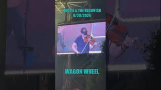 Hootie and The Blowfish WAGON WHEEL live 92024 [upl. by Allistir]