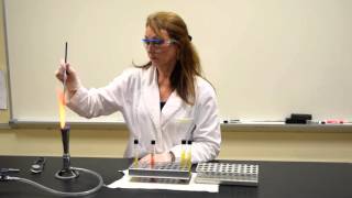 How to Inoculate amp Interpret a TSI Slant  MCCC Microbiology [upl. by Liahus808]