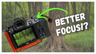 Back Button Focus on Nikon  Why and How [upl. by Stanislas]