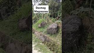 DASMAG MAGSAYSAY dasmag moneyhunt goodvibes [upl. by Boyd]