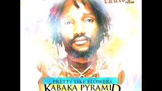 KABAKA PYRAMID  PRETTY LIKE FLOWERS  POISON ARROW RIDDIM  DYNASTY  JWONDER 21ST HAPILOS DIGITAL [upl. by Gula]