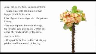 Ljudbok Den lille prinsen kapitel 7 Prinsens blomma [upl. by Ahseuqal]