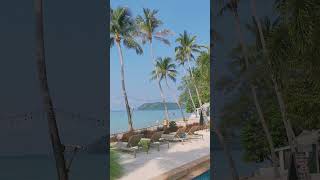 Koh Phangan Resort LimeN Soda  Koh Phangan Tajlandia kohphangan thailand vlog hotel bungalow [upl. by Dionis]