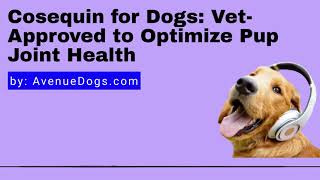 Cosequin for Dogs VetApproved to Optimize Pup Joint Health [upl. by Travers]