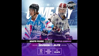 Div 1 Elite  Purple Cobras vs White Foxes [upl. by Zea]