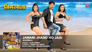 Jawani Jhand Ho Jaai  New Bhojpuri Audio Song 2015  FeatNirahua amp Aamrapali  Jigarwala [upl. by Eeruhs619]