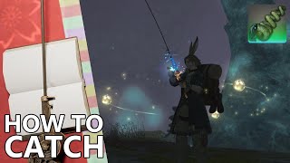 How to Catch Lopoceras Elegans in FFXIV The quotPasta Fishquot [upl. by Asaph]