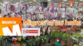 Migros’ta Öğretmenler Gününe Çok Güzel Orkideler ve Çiçekler migros migrossanalmarket çiçek [upl. by Atiuqes]