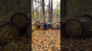 Autumn hiking with grandsons [upl. by Drolyag]