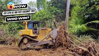 How CAT D7R Dozer Take Down a 100 feet Coconut Tree [upl. by Dachi199]