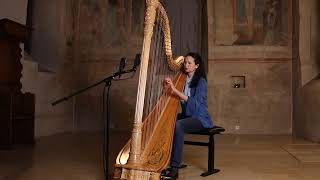 La source Alphonse Hasselmans harp [upl. by Sholley]