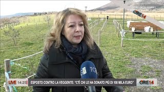 Intervista a Gisella la veggente di Trevignano  Ore 14 del 07042023 [upl. by Jacquet241]