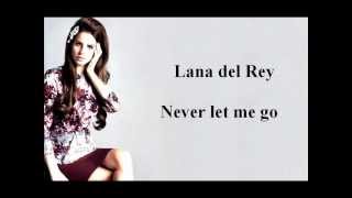 Lana del Rey  Never let me go Karaoke [upl. by Arne]