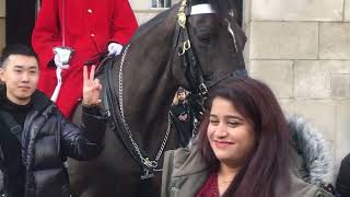 Lady shyness with Royal Guard horse like she is talking to her loved one [upl. by Alleacim]