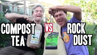 Compost Tea vs Rock Dust  Which is the Better Organic Fertilizer [upl. by Oer364]