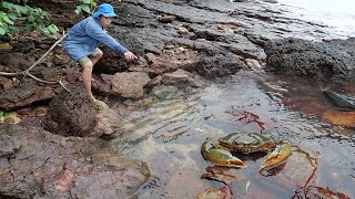 Giant King Crab Catch and Cook At the Beach  Giant Sea Crab Cooking with Big Wave  Wilderness Food [upl. by Schreibe]