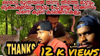 Deer meat for dinner മാനും ഒട്ടകപക്ഷിയും കാട്ടുപോത്തും തുടങ്ങി കൈതച്ചക്ക വരും ചുട്ടു തിന്ന അത്താഴം [upl. by Octavius]