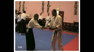 Aikido people training 2009 [upl. by Notsahc]