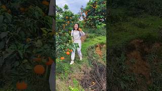 amazing fruits farming in china villageshortvideo trending foryou [upl. by Nilloc]