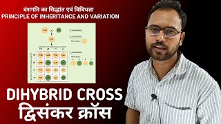 DIHYBRID CROSS  PRINCIPLE OF INHERITANCE AND VARIATION  द्विसंकर क्रॉस  BIOLOGY CLASS 12 [upl. by Freddy]