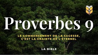 La Bible Proverbes 9 Louis Segond biblevision [upl. by Amairam467]