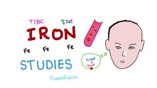 Iron Studies  Serum Fe TIBC ferritin amp Transferrin  Saturation [upl. by Dee Dee]