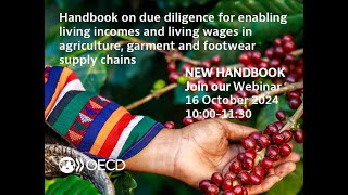 Launch of OECD Handbook on Living Income and Living Wage Due Diligence [upl. by Dib]