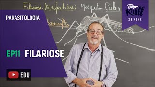 Filariose Parasitologia  EP 11  Biokrill Series [upl. by Ardys555]