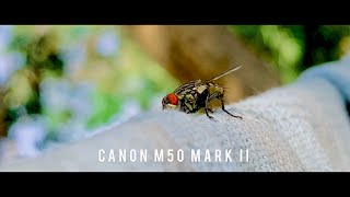 Canon M50 Mark II Cinematic Video Sample Test [upl. by Nirrek385]