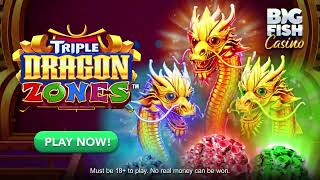 🐲 NEW SLOT TRIPLE DRAGON ZONES 🐲 Big Fish Casino [upl. by Spalla914]