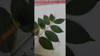 Leaf paintingpaintingcolour art youtubeshorts shortsfeed [upl. by Ynattib]