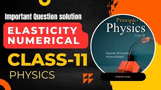 🔴 Elasticity  Numerical  Class11 Physics  Important Question [upl. by Nallad]