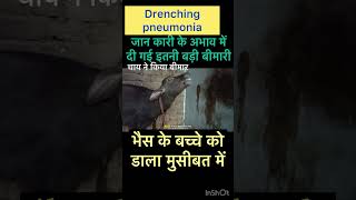 Drenching pneumonia l Dr Umar khan [upl. by Aniahs]