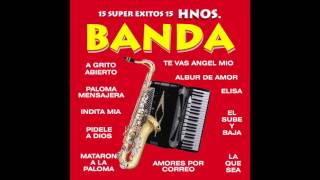 Los Hermanos Banda  15 Super Exitos Disco Completo [upl. by Atorod]