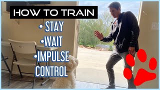 How To Train Your Dog BASIC OBEDIENCE sit stay wait [upl. by Irahk]