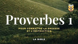 La Bible Proverbes 1 Louis Segond biblevision [upl. by Honebein857]