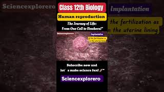 Part 1  Human reproduction class 12 Biology chapter 3ncert neet cbse sciencexplorero [upl. by Sallee318]