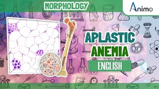 Aplastic Anemia  Histopathology  RBC Morphology  English [upl. by Juline]