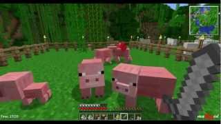 Lets Play Together Minecraft 46  Tierzucht Feldarbeit und auf CubeNation DeutschHD [upl. by Stevena]