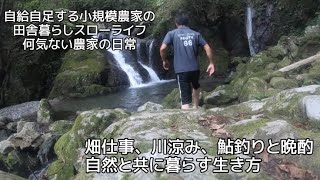 【田舎暮らし自給自足】畑仕事のあと渓流で涼み鮎を釣って晩酌をする【7月】【何気ない農家の日常】 [upl. by Nella]