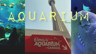 AQUARIUM OF CANADA  Family time Tibetan Vlogger Toronto [upl. by Analla]