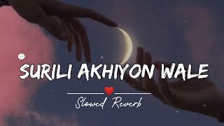 Surili Ankhiyo Wale   Slowed  Reverb  Lyrics  Use Headphones 🎧🎧 [upl. by Vilberg]