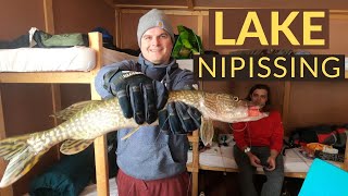 Lake Nipissing Ice Fishing 2023  Walleye  Pike  Perch  Cisco [upl. by Aneev]