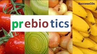 Prebiotics Foods  Prebiotics are good for Digestive Health [upl. by Goober141]