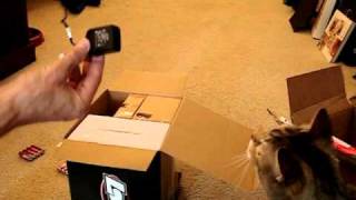 Unboxing the Losi 4wd Micro SCT [upl. by Tem]