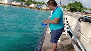 FUN FISHING BARBADOS A GREAT DAY [upl. by Lybis]