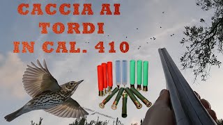 CACCIA AI TORDI IN CAL 410 [upl. by Aicelf215]