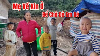 Nóng  3 Cháu Sống Ở Chuồng Dê Khóc Như Mưa Vì Người Mẹ Vô Tâm Trở Về Xin Ở Nhờ Đẻ Con Riêng [upl. by Dranoc]